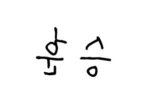 KPOP idol WINNER  이승훈 (Lee Seung-hoon, Seunghoon) Printable Hangul name fan sign, fanboard resources for concert Reversed