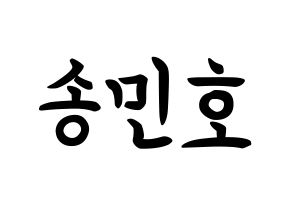 KPOP idol WINNER  송민호 (Song Min-ho, Mino) Printable Hangul name fan sign, fanboard resources for concert Normal