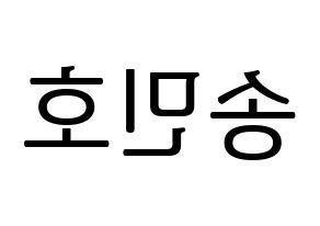 KPOP idol WINNER  송민호 (Song Min-ho, Mino) Printable Hangul name fan sign, fanboard resources for LED Reversed