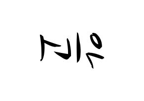 KPOP idol WINNER Printable Hangul fan sign, concert board resources for light sticks Reversed