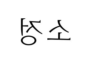 KPOP idol WJSN  엑시 (Choo So-jeong, Exy) Printable Hangul name fan sign & fan board resources Reversed