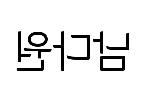 KPOP idol WJSN  다원 (Nam Da-won, Dawon) Printable Hangul name fan sign, fanboard resources for light sticks Reversed