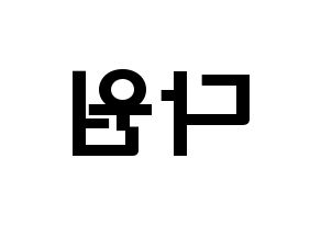 KPOP idol WJSN  다원 (Nam Da-won, Dawon) Printable Hangul name fan sign & fan board resources Reversed