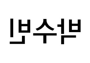 KPOP idol WJSN  수빈 (Park Soo-bin, Soobin) Printable Hangul name Fansign Fanboard resources for concert Reversed
