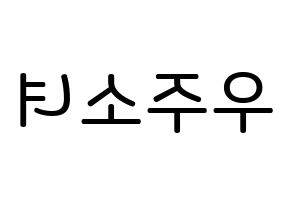 KPOP idol WJSN Printable Hangul Fansign Fanboard resources Reversed