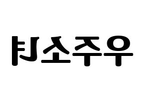KPOP idol WJSN Printable Hangul fan sign, fanboard resources for light sticks Reversed