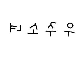 KPOP idol WJSN Printable Hangul fan sign, concert board resources for light sticks Reversed