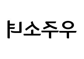 KPOP idol WJSN Printable Hangul fan sign & fan board resources Reversed
