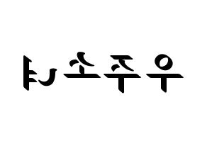KPOP idol WJSN Printable Hangul fan sign, concert board resources for LED Reversed
