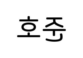 KPOP idol X1  차준호 (Cha Jun-ho, Cha Jun-ho) Printable Hangul name Fansign Fanboard resources for concert Reversed