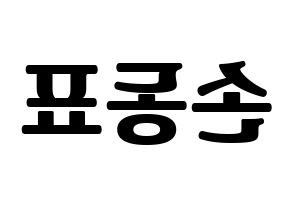 KPOP idol X1  손동표 (Son Dong-pyo, Son Dong-pyo) Printable Hangul name fan sign, fanboard resources for light sticks Reversed