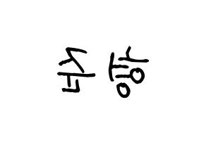 KPOP idol X1  송형준 (Song Hyeong-jun, Song Hyeong-jun) Printable Hangul name fan sign, fanboard resources for light sticks Reversed