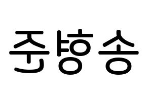 KPOP idol X1  송형준 (Song Hyeong-jun, Song Hyeong-jun) Printable Hangul name Fansign Fanboard resources for concert Reversed